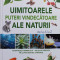 Uimitoarele puteri vindecatoare ale naturii de la A la Z