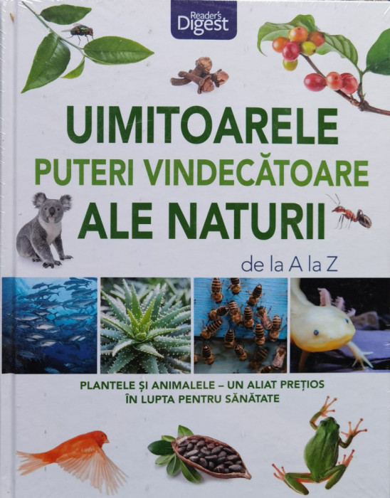 Uimitoarele puteri vindecatoare ale naturii de la A la Z