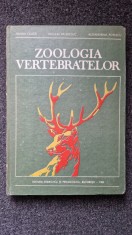 ZOOLOGIA VERTEBRATELOR - Ceuca, Valenciuc, Popescu foto