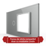 Cumpara ieftin Panou din Sticla Livolo cu Intrerupator Simplu si Priza, Standard Italian 4M, Gri