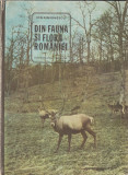 ION SIMIONESCU - DIN FAUNA SI FLORA ROMANIEI