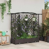 vidaXL Pat Ridicat cu Trellis și Acoperiș Maro 163 x 40 x 126 cm PP 42032510