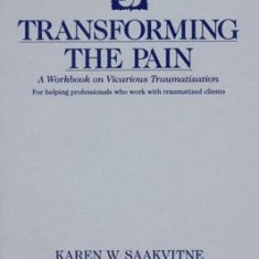 Transforming the Pain: A Workbook on Vicarious Traumatization