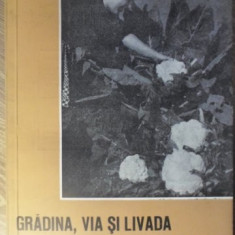 GRADINA, VIA SI LIVADA, REVISTA DE STIINTE SI PRACTICA HORTIVITICOLA, IULIE 1964-COLECTIV