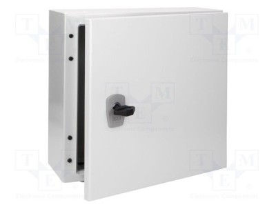 Carcasă montare pe perete EATON ELECTRIC 300mm x 300mm x 150mm oţel foto