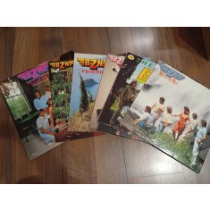 PACK LP 6 Discuri vinil LP BZN Colectie (VG+)