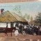 Casa taeaneasca Ilustrate