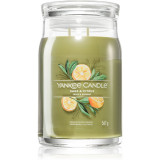 Yankee Candle Sage &amp; Citrus lum&acirc;nare parfumată Signature 567 g