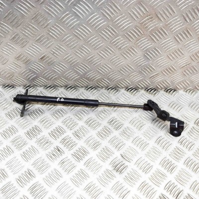 Amortizor capota dreapta față TESLA MODEL 3 2019 OEM: 1089586-00-C,1091472-00-B 21481706 foto