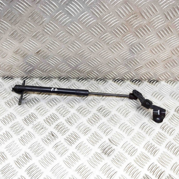 Amortizor capota dreapta față TESLA MODEL 3 2019 OEM: 1089586-00-C,1091472-00-B 21481706