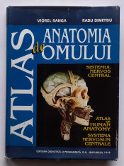 Viorel Ranga, Radu Dimitriu - Atlas De Anatomia Omului - Sistemul Nervos Central foto