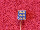 Insigna fotbal - Federatia de Fotbal din ANGLIA