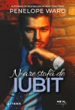 N-are stofă de iubit - Paperback brosat - Penelope Ward - Litera