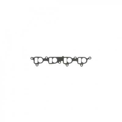 Garnitura galerie admisie NISSPICK UP III (D22) 2.5 Di 2002 - prezent CORTECO 450395P foto
