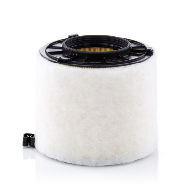MANN-FILTER C 17 010 Filtru aer foto