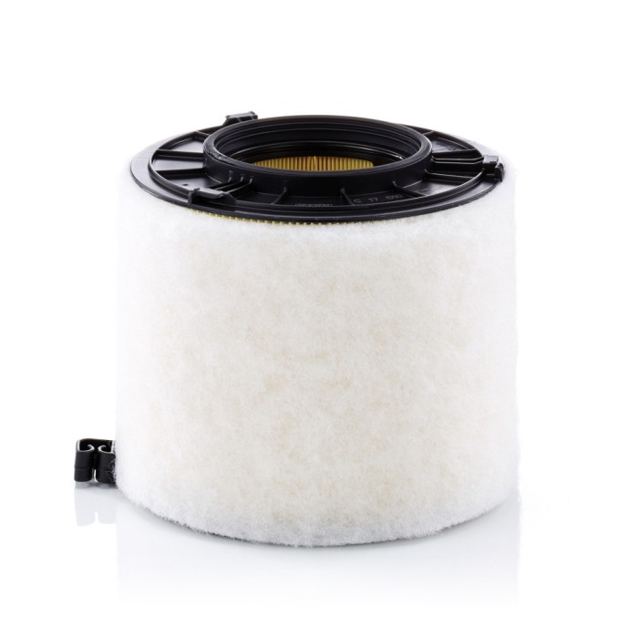 MANN-FILTER C 17 010 Filtru aer