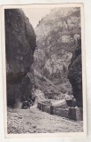 bnk cp Munții Giurgeu - Cheile Bicazului - circulata 1947