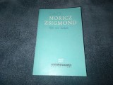 MORICZ ZSIGMOND - UN OM FERICIT BPT