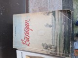 Baragan vintage, 1981