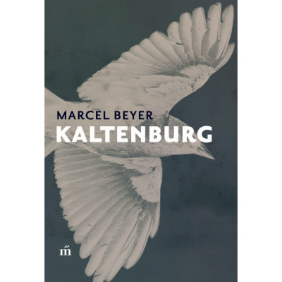 Kaltenburg - Marcel Beyer foto