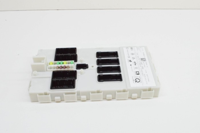 Modul de confort BMW i3 I01 2019 OEM: 8736965,5D1313F05,6276A-BDCRL01 | 20405852