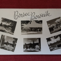 Borsec - Borszék - imagini multiple - carte postala RPR scrisa dar necirculata