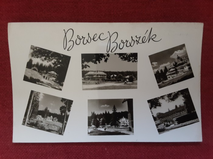 Borsec - Borsz&eacute;k - imagini multiple - carte postala RPR scrisa dar necirculata