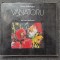 VANATORU - Marin Mihalache