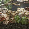Pietre Dragon Naturale Acvariu vidaXL, 10 kg, Maro, 5-30 cm - Decor Acvatic, Ascunzis Pesti si Creveti, Amenajare Terariu &amp; Gradina