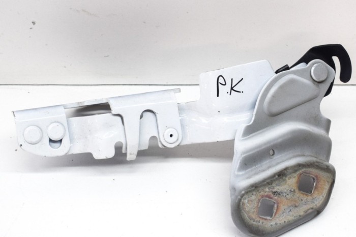 Balama capota st&acirc;nga față TESLA MODEL 3 2021 OEM: 1643845-00-A | 17132958