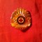 Insigna - Insemn - Evidentiat Crucea Rosie ARSR , metal si email , h=3,8cm