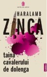 Taina cavalerului de dolenga | Haralamb Zinca