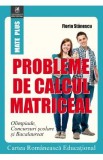 Probleme de calcul matriceal - Florin Stanescu