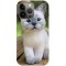 Husa compatibila cu Apple iPhone 13 Pro Max model Smol cat, Silicon, TPU, Viceversa