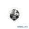 Abtibild truck legende cod:tag 004 / t4 Alta marca Alt model #7
