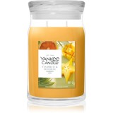 Yankee Candle Starfruit &amp; Sunshine lum&acirc;nare parfumată 567 g