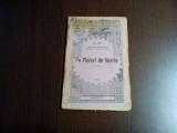PE PLAIURI DE MUNTE - I. Simionescu - Editura Casa Scoalelor, 1924, 61 p., Alta editura