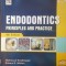 Endodontics. Principles and practice- Mahmoud Torabinejad, Richard E.Walton