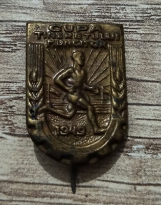 Insigna Cupa Tineretului Muncitor 1949 foto