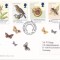 FILATELIE TEMATICA - PLIC MAREA BRITANIE FDC TEMATICA PASARI INSECTE CIUPERCA