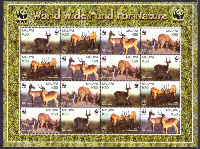 DB WWF Fauna Malawi Gazela MS MNH