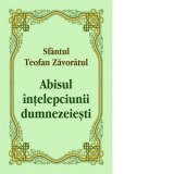Abisul intelepciunii dumnezeiesti - Sfantul Teofan Zavoratul