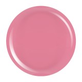 Cumpara ieftin Gel Colorat UV PigmentPro LUXORISE - Pastel Crimson, 5ml