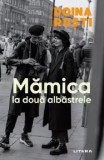 Cumpara ieftin Mamica la doua albastrele/Doina Rusti