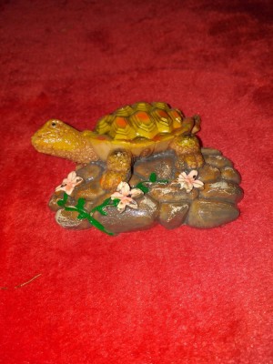 MAGNET BROASCA foto