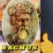 Sub zodia lui Bachus Ioan Neamtu Mihai Ogrinji