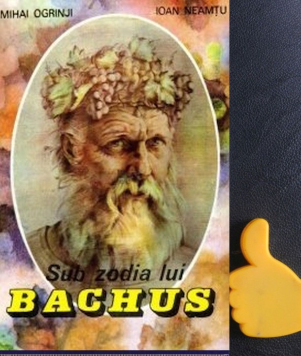 Sub zodia lui Bachus Ioan Neamtu Mihai Ogrinji