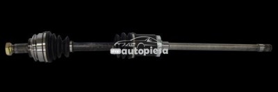 Planetara BMW X5 (E53) (2000 - 2006) RINGER 1131006093 foto