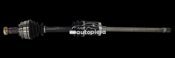 Planetara BMW X5 (E53) (2000 - 2006) RINGER 1131006093