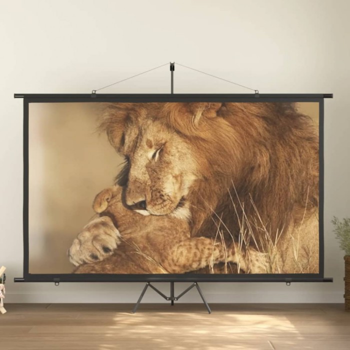 Ecran de proiecție cu trepied, 120&quot;, 16:9